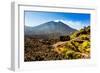 The Lava Store at the base of Pacaya Volcano in Guatemala City, Guatemala, Central America-Laura Grier-Framed Photographic Print