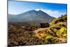 The Lava Store at the base of Pacaya Volcano in Guatemala City, Guatemala, Central America-Laura Grier-Mounted Photographic Print