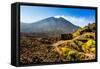 The Lava Store at the base of Pacaya Volcano in Guatemala City, Guatemala, Central America-Laura Grier-Framed Stretched Canvas