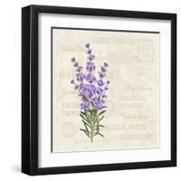 The Lavender Elegant Card. Vintage Postcard Background Vector Template for Wedding Invitation. Labe-Kotkoa-Framed Art Print