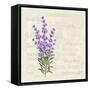 The Lavender Elegant Card. Vintage Postcard Background Vector Template for Wedding Invitation. Labe-Kotkoa-Framed Stretched Canvas