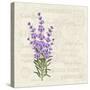 The Lavender Elegant Card. Vintage Postcard Background Vector Template for Wedding Invitation. Labe-Kotkoa-Stretched Canvas