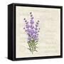 The Lavender Elegant Card. Vintage Postcard Background Vector Template for Wedding Invitation. Labe-Kotkoa-Framed Stretched Canvas