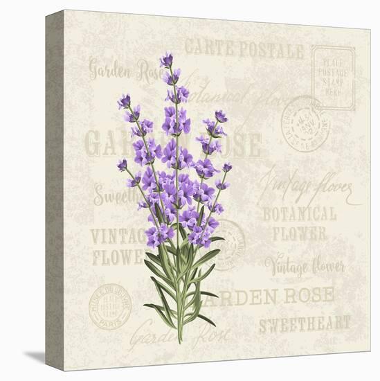 The Lavender Elegant Card. Vintage Postcard Background Vector Template for Wedding Invitation. Labe-Kotkoa-Stretched Canvas