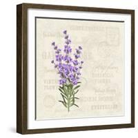 The Lavender Elegant Card. Vintage Postcard Background Vector Template for Wedding Invitation. Labe-Kotkoa-Framed Art Print