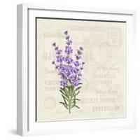 The Lavender Elegant Card. Vintage Postcard Background Vector Template for Wedding Invitation. Labe-Kotkoa-Framed Art Print