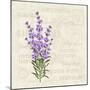 The Lavender Elegant Card. Vintage Postcard Background Vector Template for Wedding Invitation. Labe-Kotkoa-Mounted Art Print