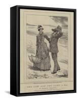 The Law and the Lady, a Novel-William Small-Framed Stretched Canvas