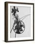 The Law of Series, 1925-Laszlo Moholy-Nagy-Framed Giclee Print