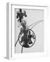 The Law of Series, 1925-Laszlo Moholy-Nagy-Framed Giclee Print