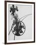 The Law of Series, 1925-Laszlo Moholy-Nagy-Framed Giclee Print