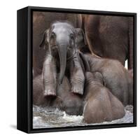 The Leader of Tomorrow-Antje Wenner-Framed Stretched Canvas