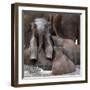 The Leader of Tomorrow-Antje Wenner-Framed Premium Photographic Print