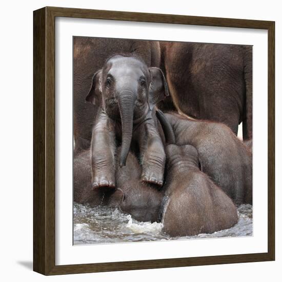 The Leader of Tomorrow-Antje Wenner-Framed Photographic Print