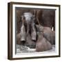 The Leader of Tomorrow-Antje Wenner-Framed Photographic Print