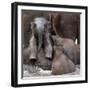 The Leader of Tomorrow-Antje Wenner-Framed Photographic Print