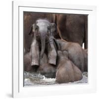 The Leader of Tomorrow-Antje Wenner-Framed Photographic Print