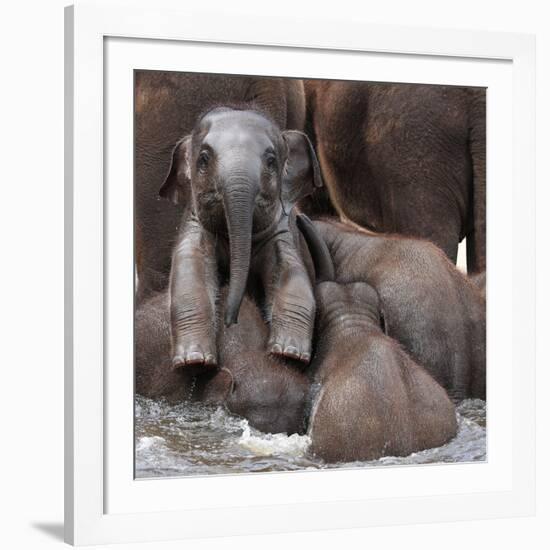 The Leader of Tomorrow-Antje Wenner-Framed Photographic Print