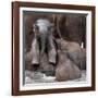 The Leader of Tomorrow-Antje Wenner-Framed Photographic Print