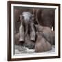 The Leader of Tomorrow-Antje Wenner-Framed Photographic Print