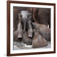 The Leader of Tomorrow-Antje Wenner-Framed Photographic Print