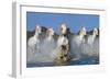 The leader-Xavier Ortega-Framed Photographic Print