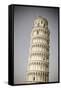The Leaning Tower of Pisa, Pisa, Tuscany, Italy-Russ Bishop-Framed Stretched Canvas