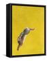 The Leap-Yellow-Tim Hayward-Framed Stretched Canvas
