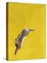 The Leap-Yellow-Tim Hayward-Stretched Canvas