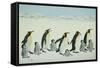 The Learning Curve-Pat Scott-Framed Stretched Canvas