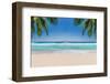 The Leaves of Palm Trees on Sunny Tropical Beach. Summer Vacation and Tropical Beach Background Con-Lucky-photographer-Framed Photographic Print