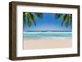 The Leaves of Palm Trees on Sunny Tropical Beach. Summer Vacation and Tropical Beach Background Con-Lucky-photographer-Framed Photographic Print