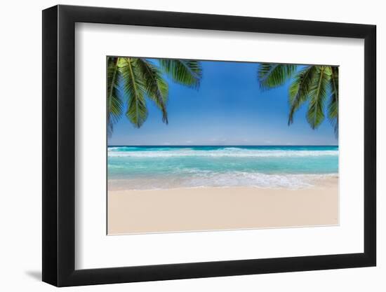 The Leaves of Palm Trees on Sunny Tropical Beach. Summer Vacation and Tropical Beach Background Con-Lucky-photographer-Framed Photographic Print