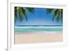 The Leaves of Palm Trees on Sunny Tropical Beach. Summer Vacation and Tropical Beach Background Con-Lucky-photographer-Framed Photographic Print