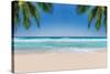 The Leaves of Palm Trees on Sunny Tropical Beach. Summer Vacation and Tropical Beach Background Con-Lucky-photographer-Stretched Canvas