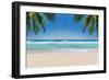 The Leaves of Palm Trees on Sunny Tropical Beach. Summer Vacation and Tropical Beach Background Con-Lucky-photographer-Framed Photographic Print