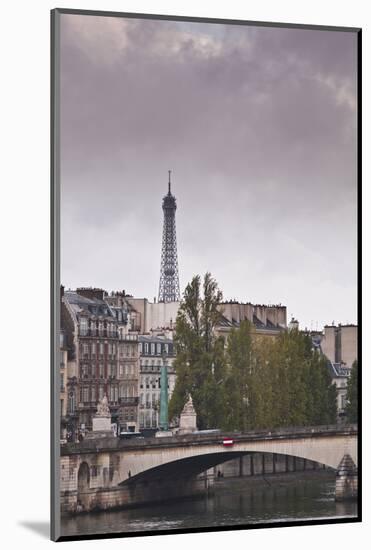 The Left Bank and the Eiffel Tower on a Rainy Day, Paris, France, Europe-Julian Elliott-Mounted Photographic Print