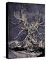 'The legend of Sleepy Hollow'-Arthur Rackham-Stretched Canvas