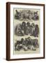 Brown Frame