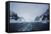 The Lemaire Channel, Antarctica, Polar Regions-Michael Runkel-Framed Stretched Canvas