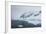 The Lemaire Channel, Antarctica, Polar Regions-Michael Runkel-Framed Photographic Print