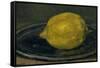 The Lemon, 1880-Edouard Manet-Framed Stretched Canvas