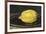 The Lemon (Le Citron)-Edouard Manet-Framed Premium Giclee Print