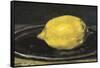 The Lemon (Le Citron)-Edouard Manet-Framed Stretched Canvas