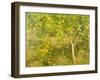 The Lemon Tree, 1893-Henry Scott Tuke-Framed Giclee Print