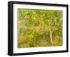 The Lemon Tree, 1893-Henry Scott Tuke-Framed Giclee Print