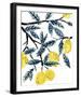 The Lemon Tree's Gift-Kristine Hegre-Framed Giclee Print