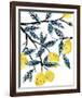 The Lemon Tree's Gift-Kristine Hegre-Framed Giclee Print