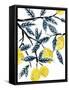 The Lemon Tree's Gift-Kristine Hegre-Framed Stretched Canvas