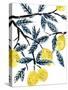 The Lemon Tree's Gift-Kristine Hegre-Stretched Canvas